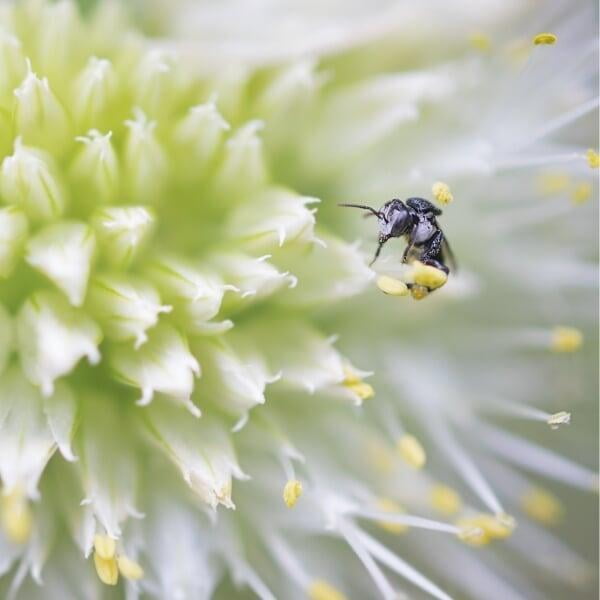 The tiniest of creatures are just waiting to be discovered